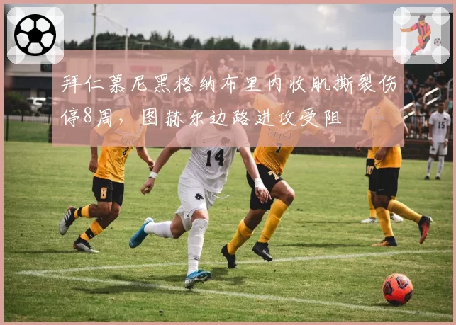 拜仁慕尼黑格纳布里内收肌撕裂伤停8周，图赫尔边路进攻受阻